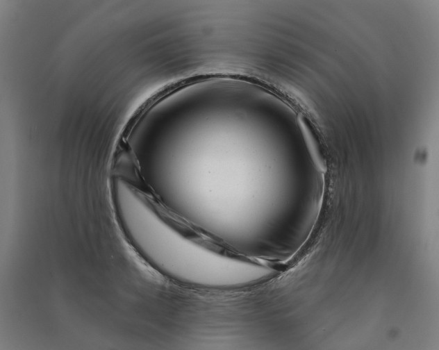 X0000090930942200708201825