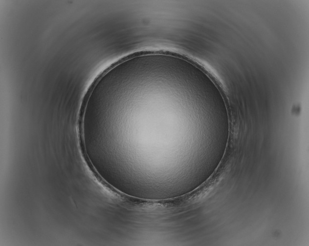 X0000090930943200708201825