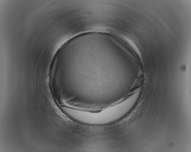 X0000090930944200708201825