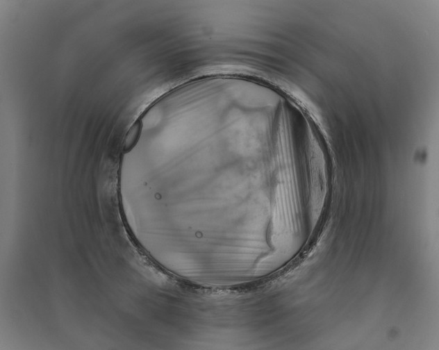 X0000090930945200708201825