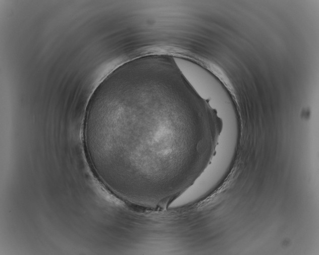 X0000090930946200708201825