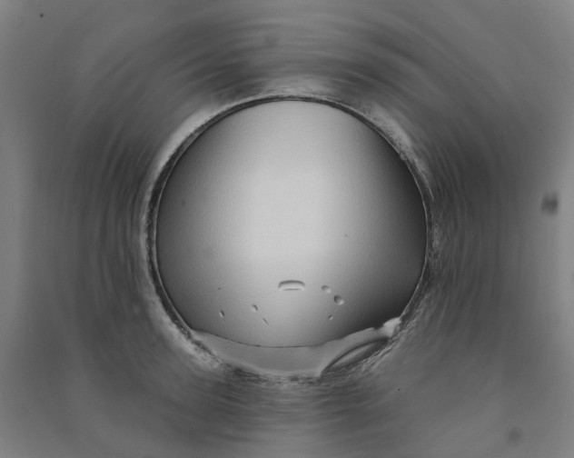 X0000090930947200708201825