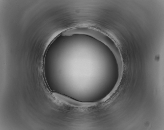 X0000090930948200708201825