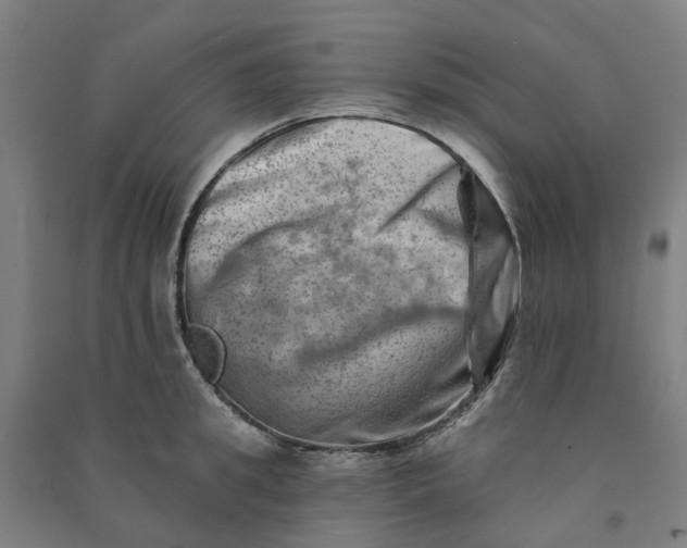 X0000090930949200708201825