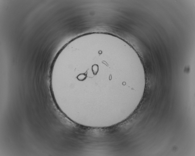 X0000090930950200708201825