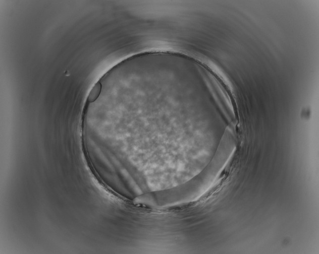 X0000090930951200708201825