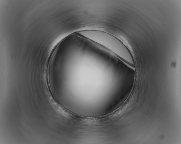 X0000090930952200708201825