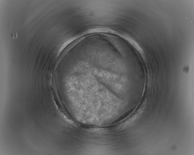 X0000090930953200708201825