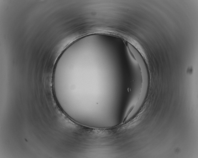 X0000090930954200708201825