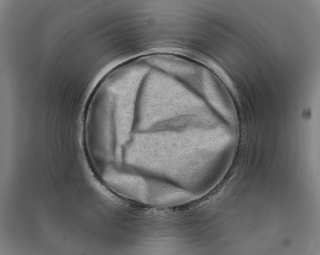 X0000090930955200708201825