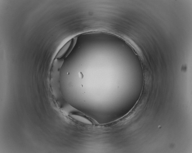 X0000090930956200708201825