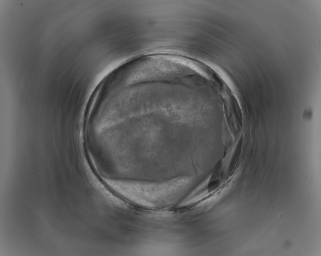 X0000090930957200708201825