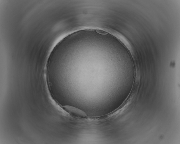 X0000090930958200708201825