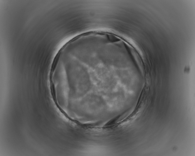 X0000090930959200708201825