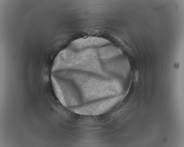 X0000090930962200708201824