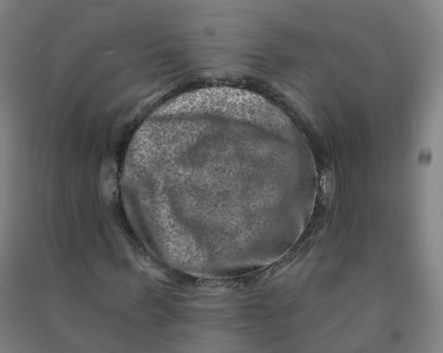 X0000090930963200708201824