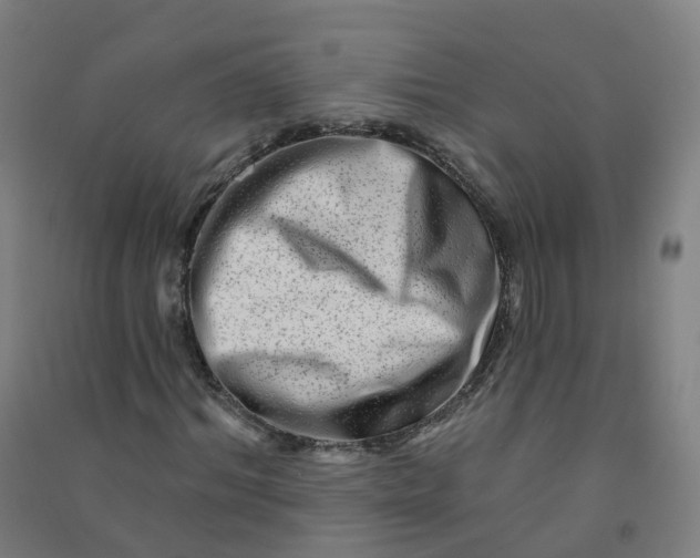 X0000090930964200708201824