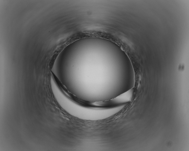 X0000090930965200708201824