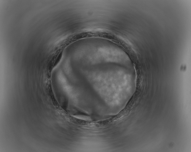 X0000090930966200708201824