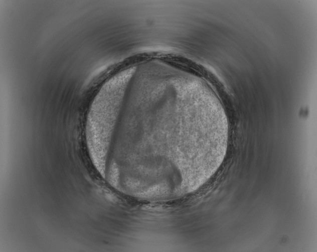 X0000090930967200708201824