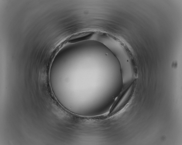 X0000090930969200708201824