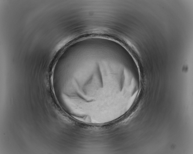 X0000090930970200708201824