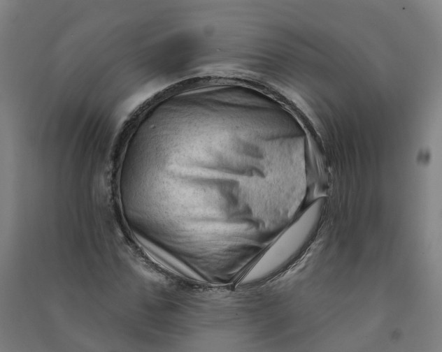 X0000090930971200708201824