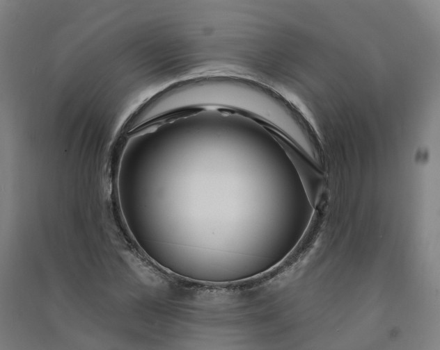 X0000090930973200708201824