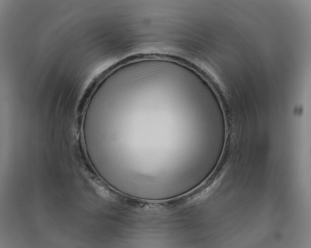 X0000090930974200708201824