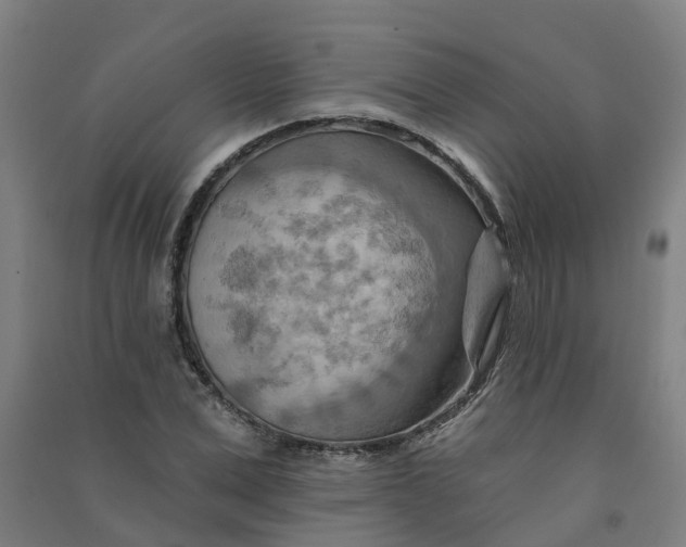 X0000090930975200708201824