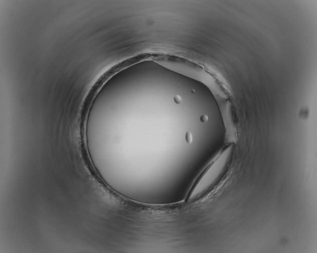 X0000090930976200708201824