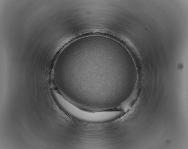 X0000090930977200708201824