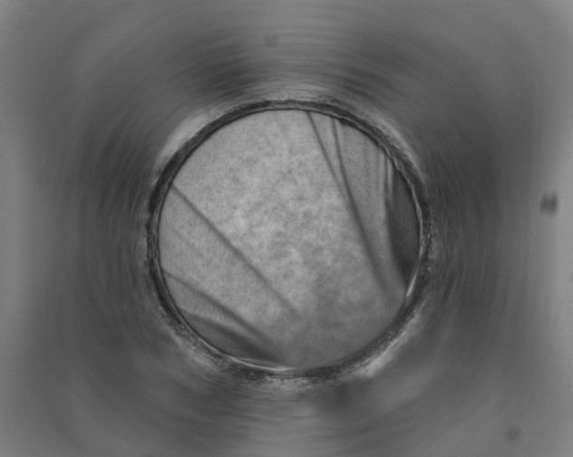 X0000090930978200708201824