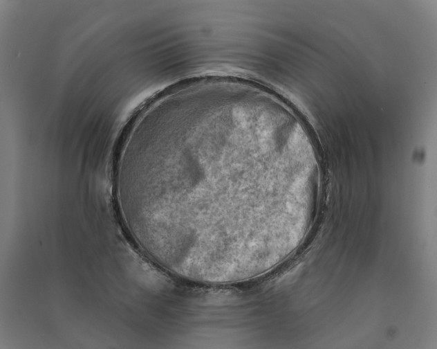 X0000090930979200708201824