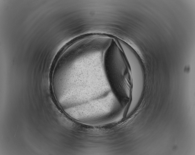 X0000090930980200708201824