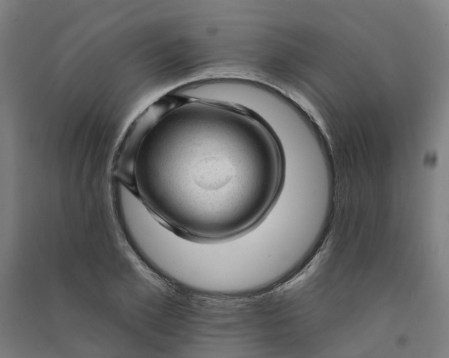 X0000090930981200708201824