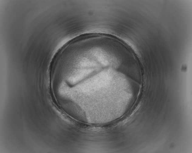 X0000090930982200708201824