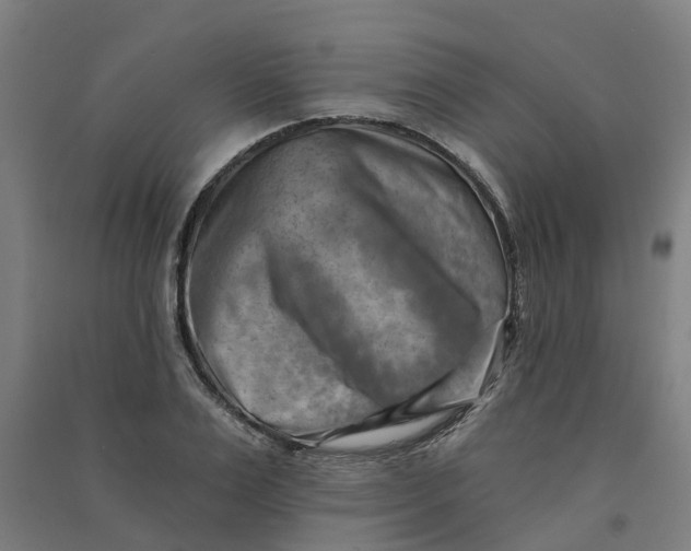 X0000090930983200708201824