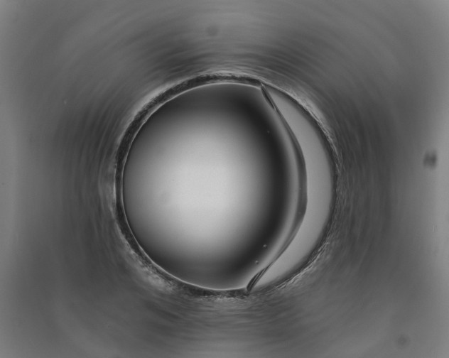 X0000090930984200708201824