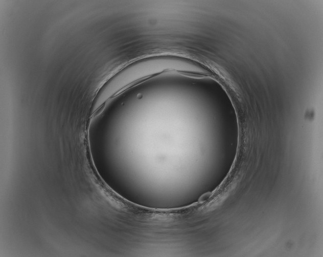 X0000090930985200708201824