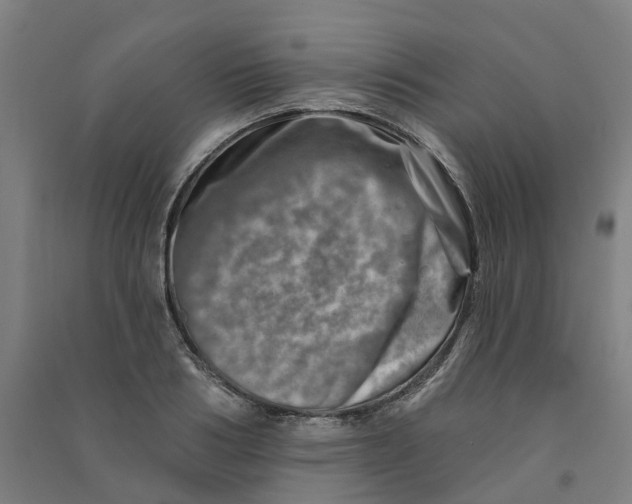 X0000090930986200708201824