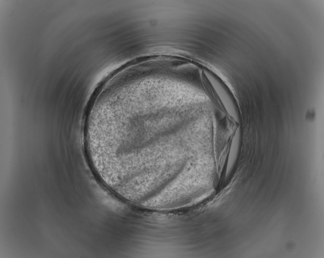 X0000090930987200708201824