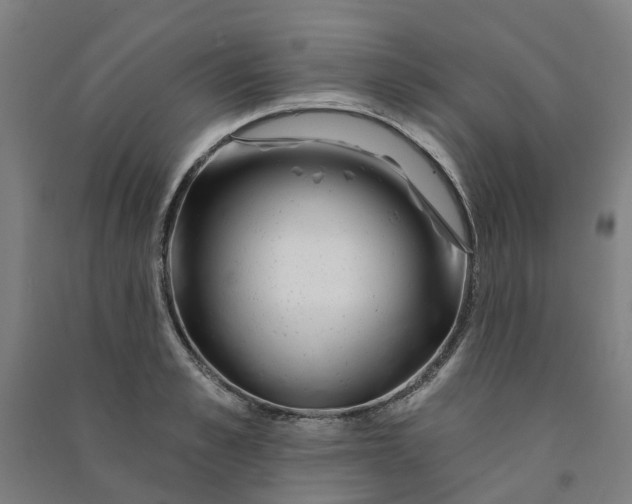 X0000090930989200708201824