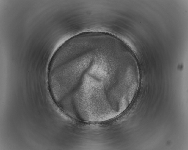 X0000090930990200708201824