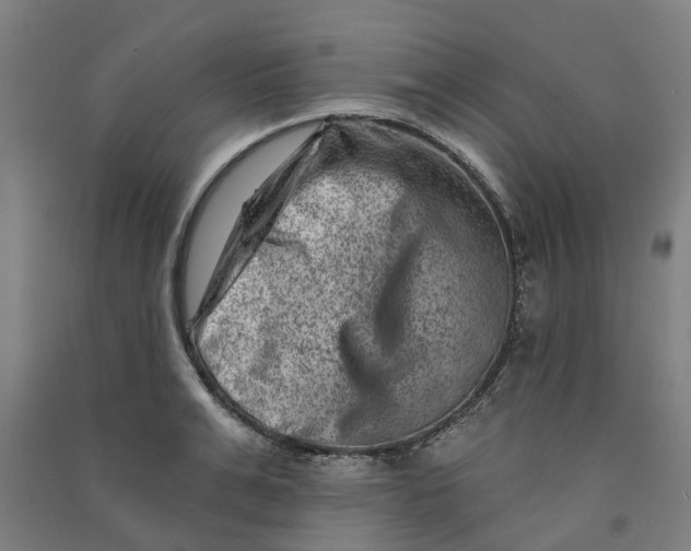 X0000090930991200708201824