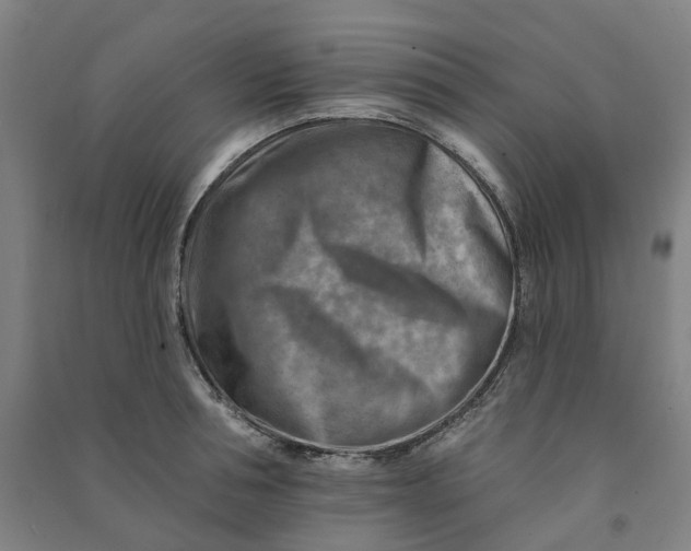 X0000090930994200708201824