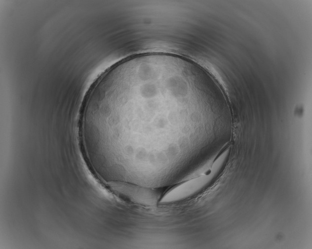 X0000090930995200708201824