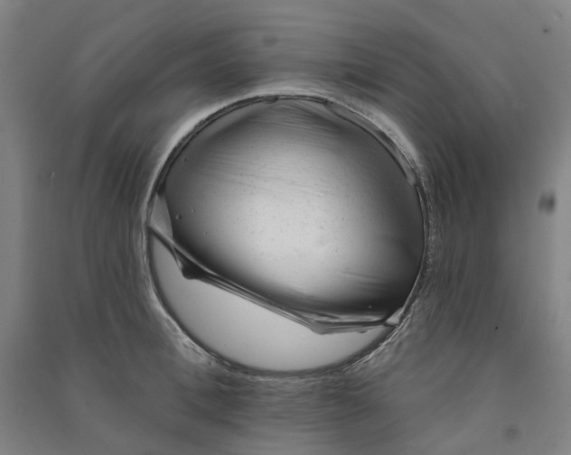 X0000090930996200708201824