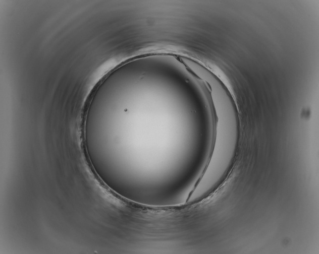 X0000090930997200708201824