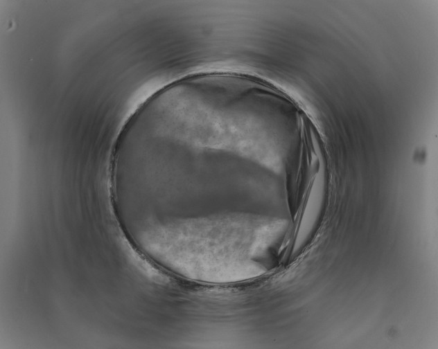 X0000090930998200708201824